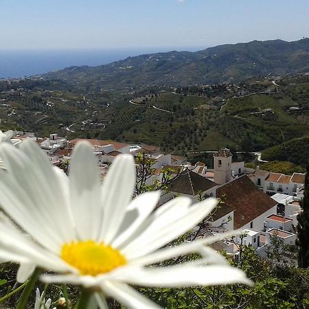 Villa Casa Ana, Fantásticas vistas al pueblo, el mar y la montaña Frigiliana Exterior foto