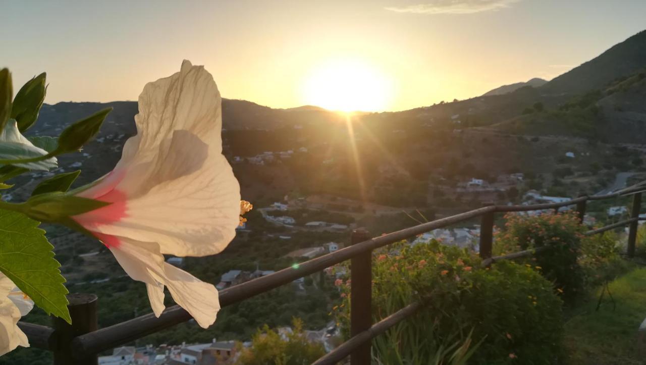 Villa Casa Ana, Fantásticas vistas al pueblo, el mar y la montaña Frigiliana Exterior foto