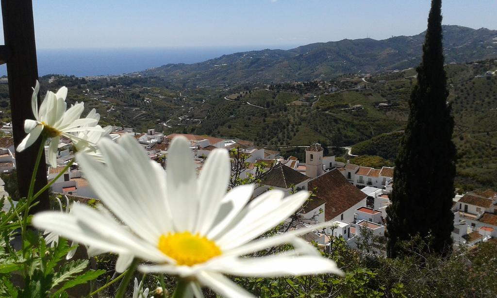 Villa Casa Ana, Fantásticas vistas al pueblo, el mar y la montaña Frigiliana Exterior foto